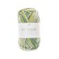 Preview: Ricorumi DK Häkelgarn Farbe 005 print grün mix Preview: Ricorumi DK Häkelgarn Farbe 005 print grün mix