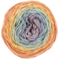 Mobile Preview: Ricorumi Spin Spin dk earthy rainbow