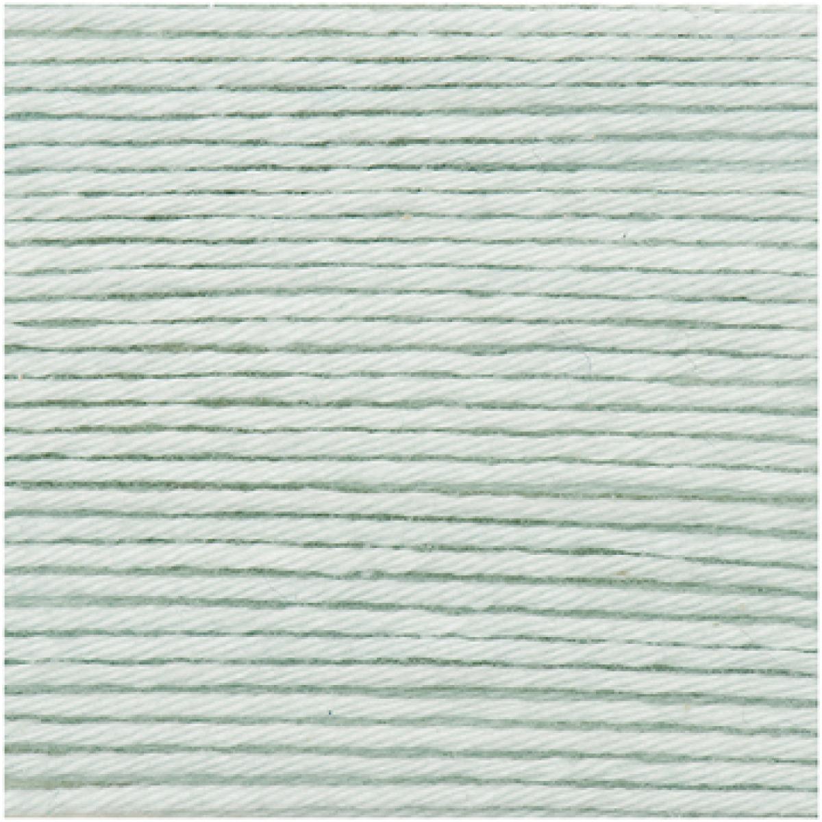 Ricorumi DK Häkelgarn Farbe 037 eisgrün Ricorumi DK Häkelgarn Farbe 037 eisgrün