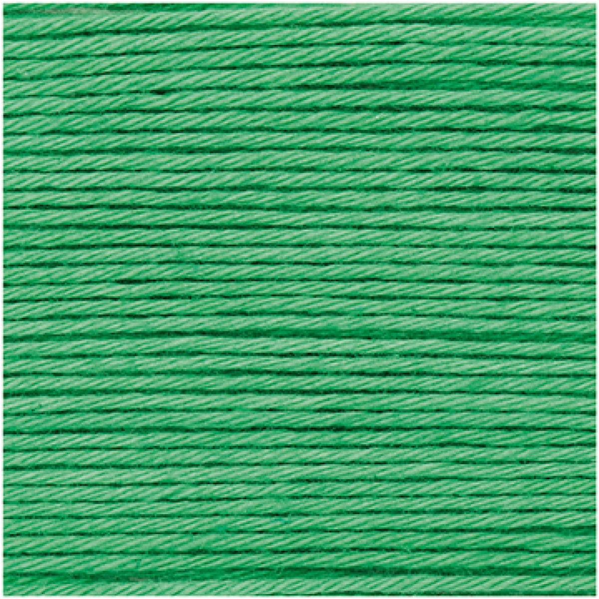 Ricorumi DK Häkelgarn Farbe 044 grasgrün Ricorumi DK Häkelgarn Farbe 044 grasgrün