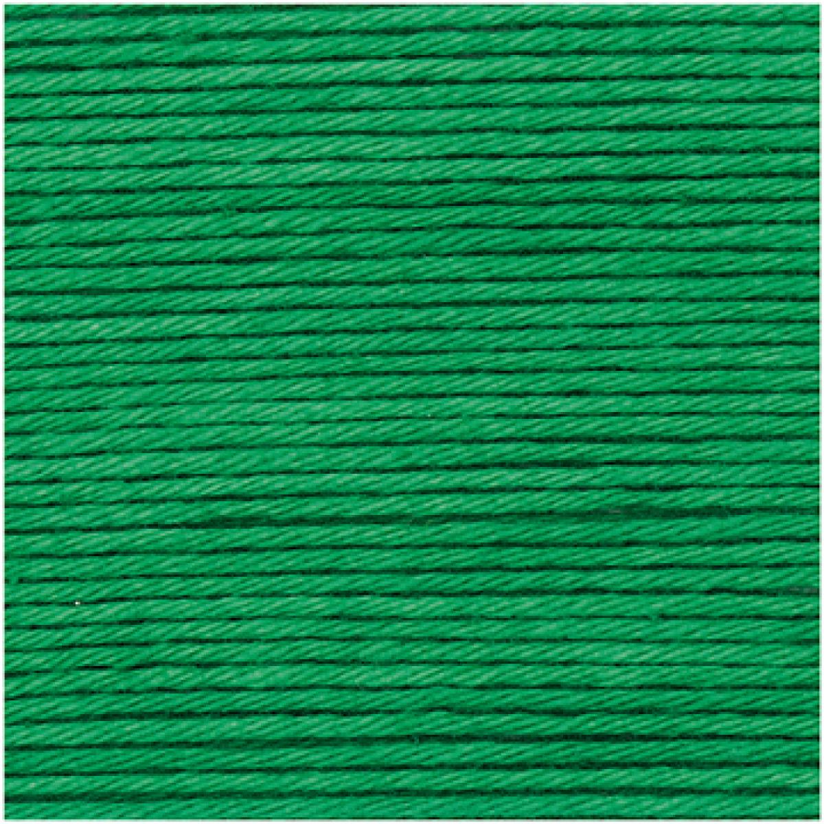 Ricorumi DK Häkelgarn Farbe 049 grün Ricorumi DK Häkelgarn Farbe 049 grün