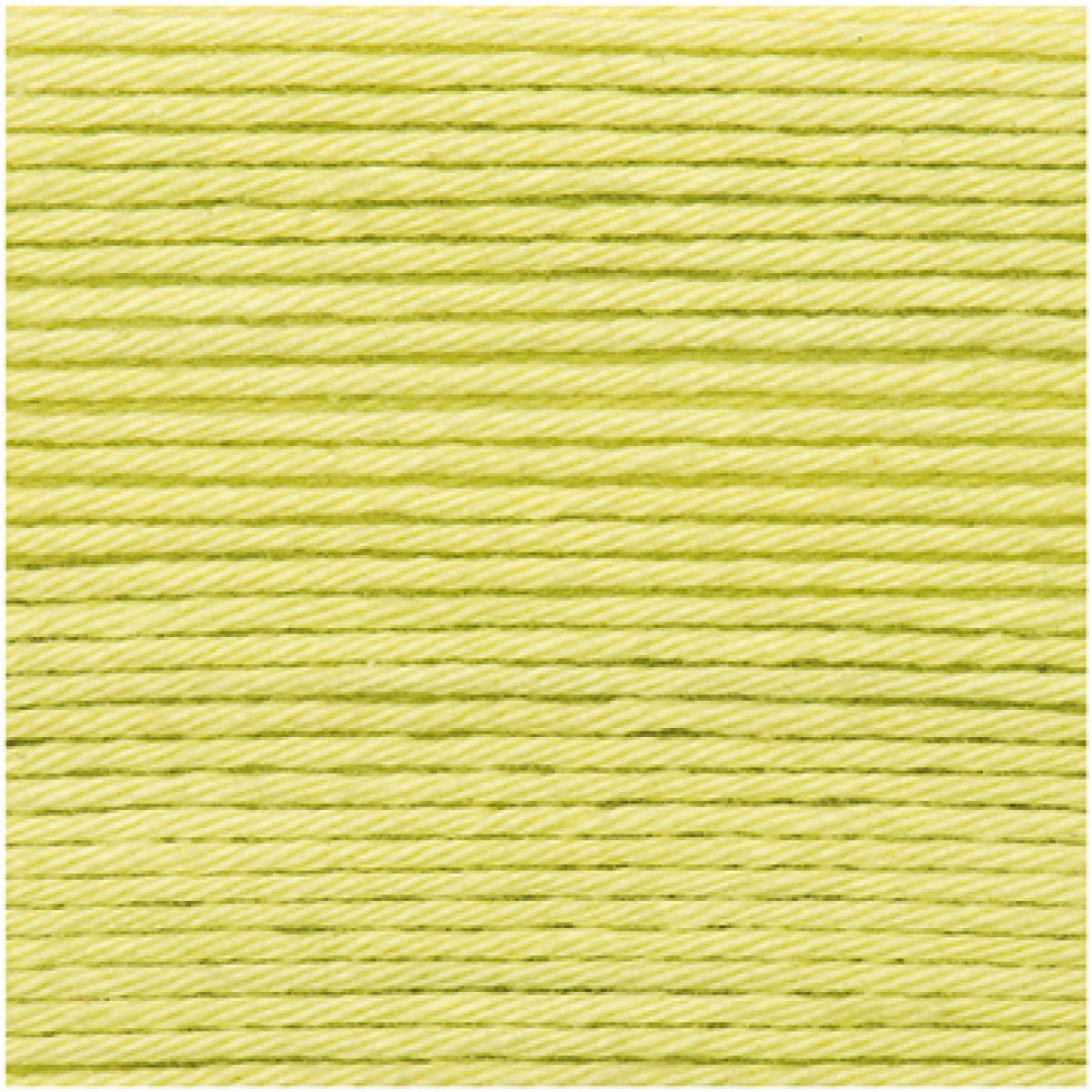 Ricorumi DK Häkelgarn Farbe 046 hellgrün Ricorumi DK Häkelgarn Farbe 046 hellgrün
