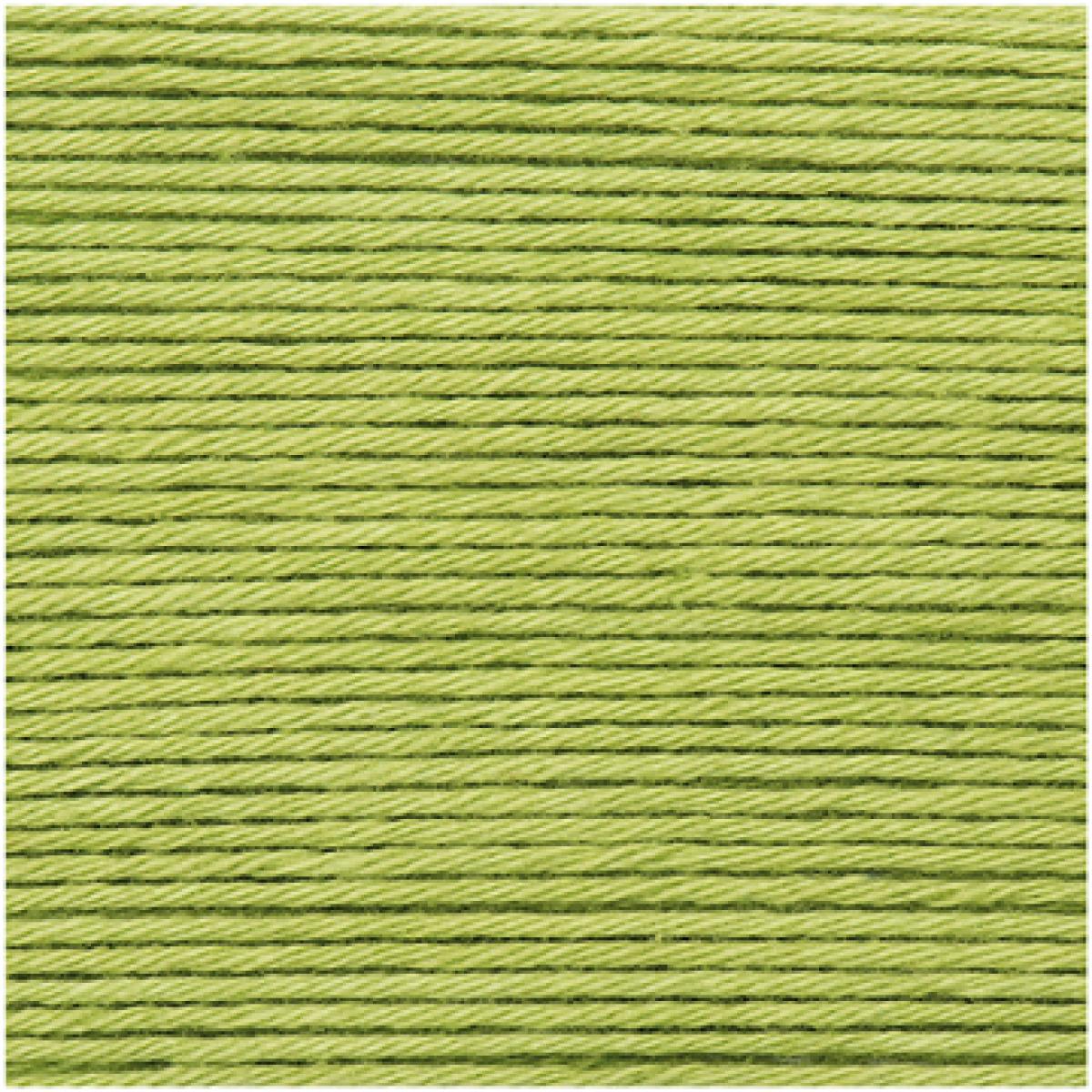Ricorumi DK Häkelgarn Farbe 047 pistazie Ricorumi DK Häkelgarn Farbe 047 pistazie