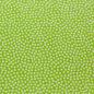 Preview: Baumwollwebware Punkte hellgruen weiß Meterware