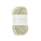 Preview: Ricorumi DK Häkelgarn Farbe 075 schilf
