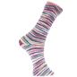 Preview: Sockenwolle Rico Design Superba Bamboo superwash 100g 420m rot-mint