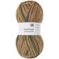 Preview: Sockenwolle Rico Design Superba Bamboo superwash 100g 420m terra
