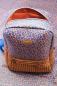 Preview: Brush Wild Kunstleder Rucksack braun blau