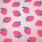 Preview: Hilco French Terry "Frutta" Himbeeren