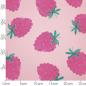 Preview: Hilco French Terry "Frutta" Himbeeren