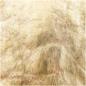 Preview: Washable Paper gold - 48cm x 100cm