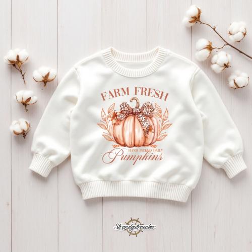 Buegelbild Farm Fresh Pumpkins