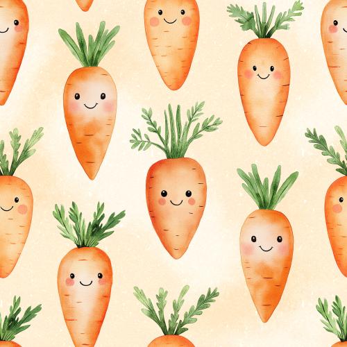 Karotten - Bio Jersey / Bio French Terry - Vorbestellung!!!