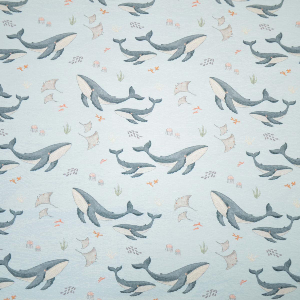 Hilco Jersey "Sea animals" , Wale, Rochen und Quallen, maritim
