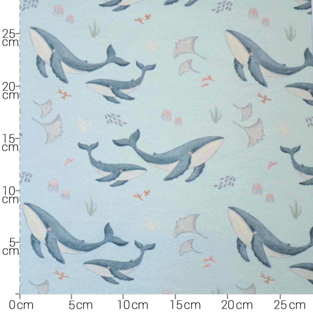 Hilco Jersey "Sea animals" , Wale, Rochen und Quallen, maritim