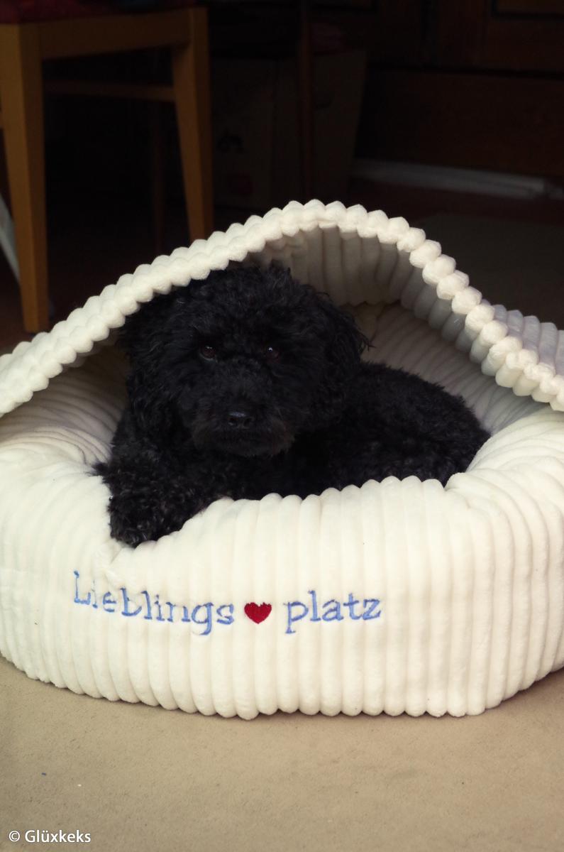 Cordsamt "Montevideo" ecru Swafing - Taschenstoff