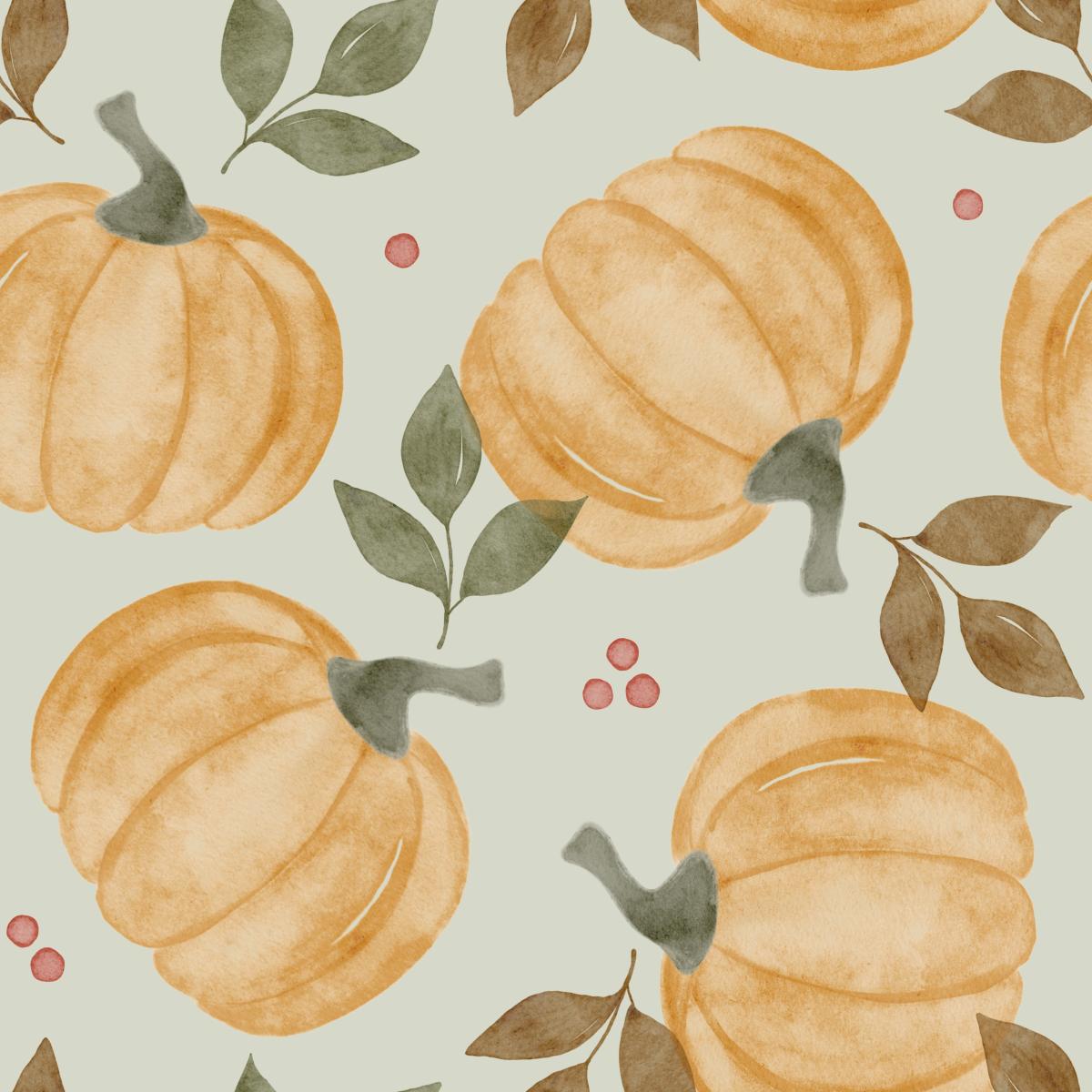 Pumpkin spice - Kürbisse