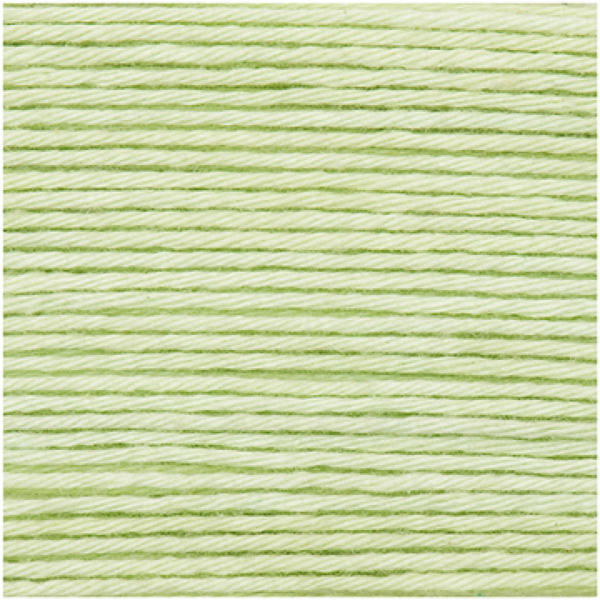 Ricorumi DK Häkelgarn Farbe 045 pastellgrün